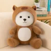 Orso nana marrone