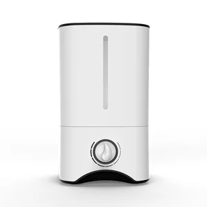 Top Filling Water Cheap 5L CE Office Kids Gift Home Appliance Humidifier Ultrasonic Air Humidificador Hospital Umidificador