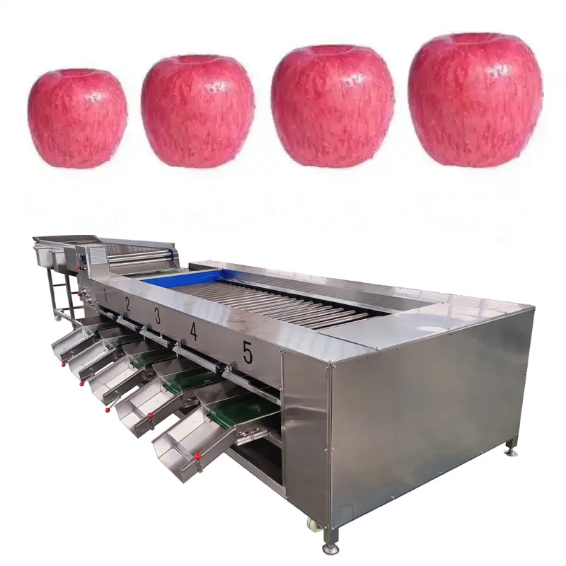 Blueberry Fruit Sorting Grading Machine with Motor Food Grade Stainless Steel 1-3 Tons/Hour Capacity