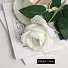 cream white