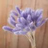 Couleur lilas