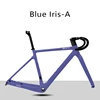 Iris blu