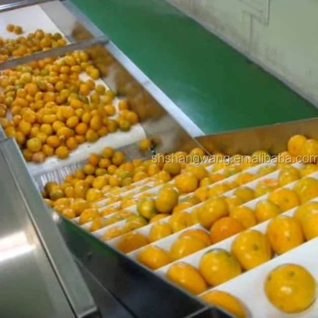 Small Scale Fruit Juice Processing Equipment