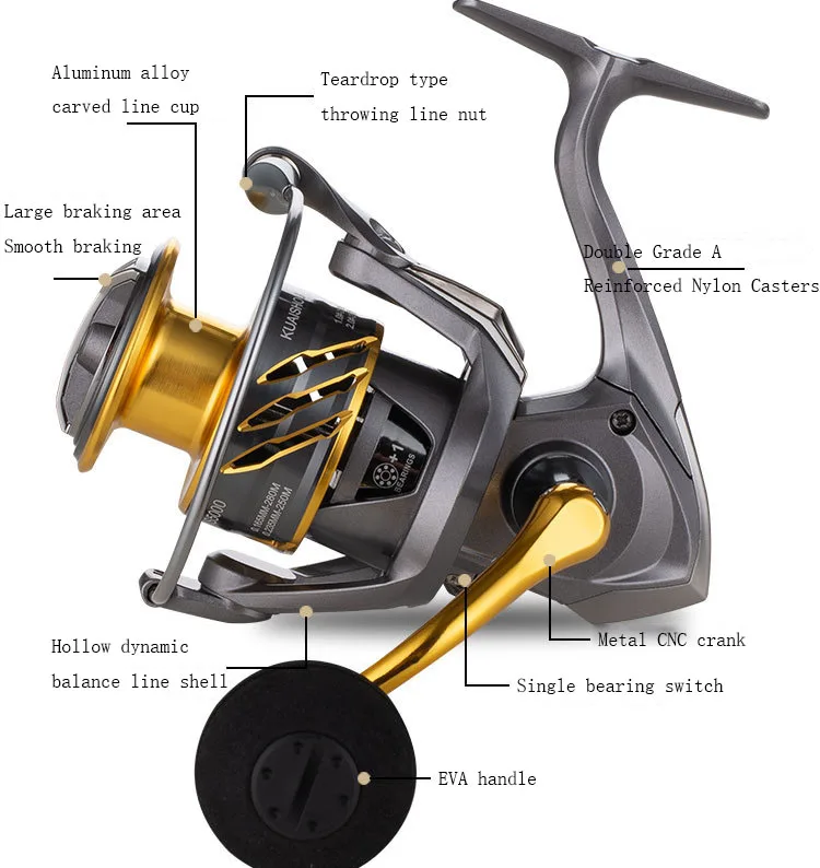 ardent college fishing reels Ignite Spinning Reel