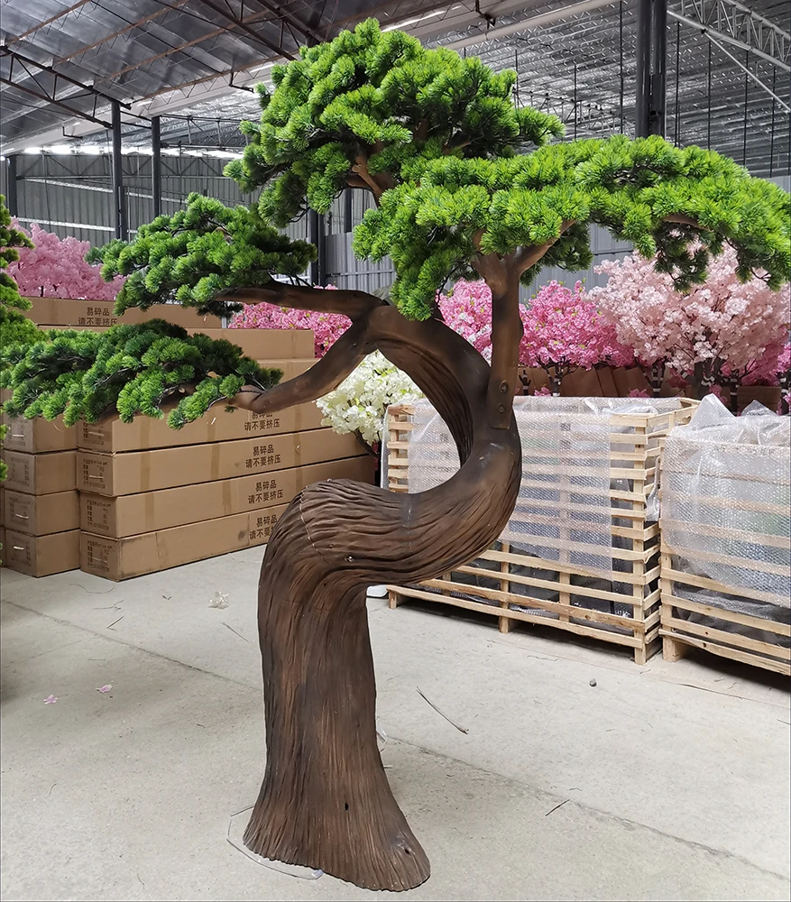 mahagoni bonsai Dark Silver Moyogi Bonsai Tree in Hexagonal Pot main image 0