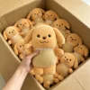 12 peluche (contattaci per il catalogo con oltre 6000 modelli)