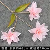 Pink Trident Lily Branch