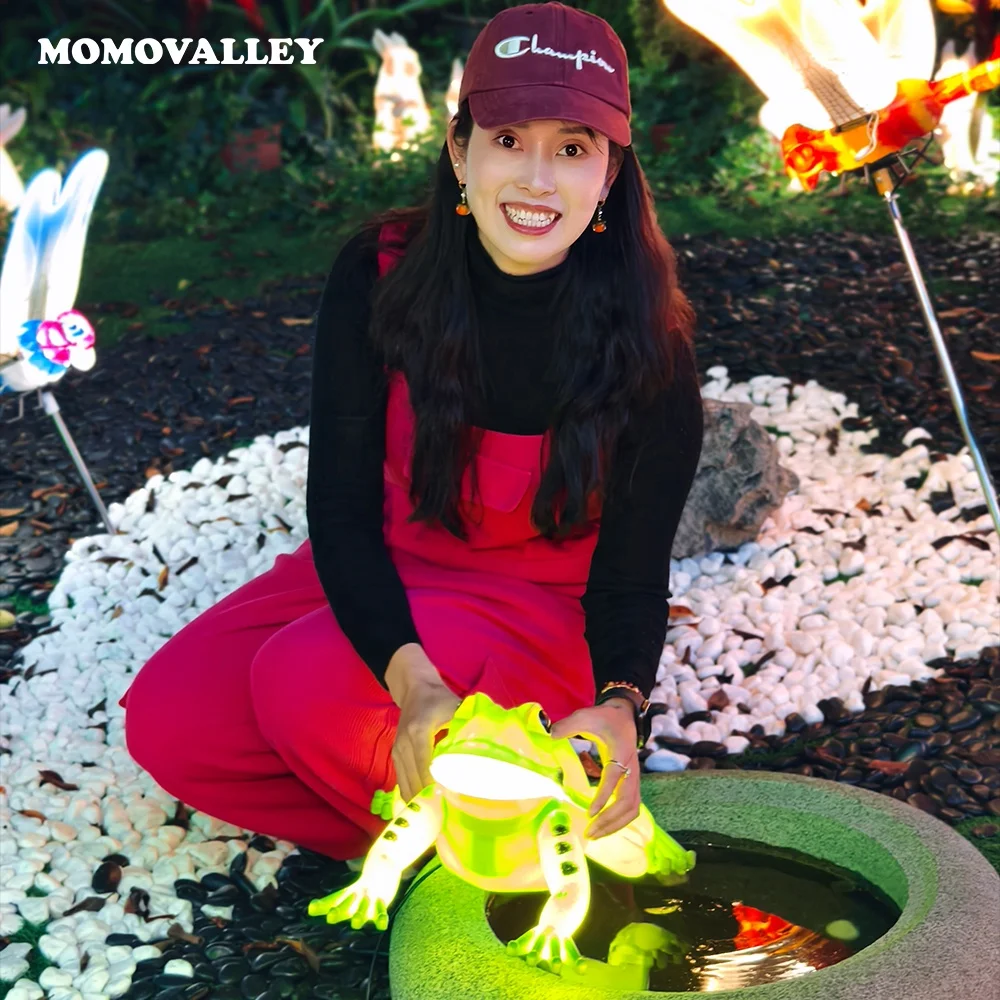 Momovalley Best Seller Frog Steady Brightly Christmas Decoration