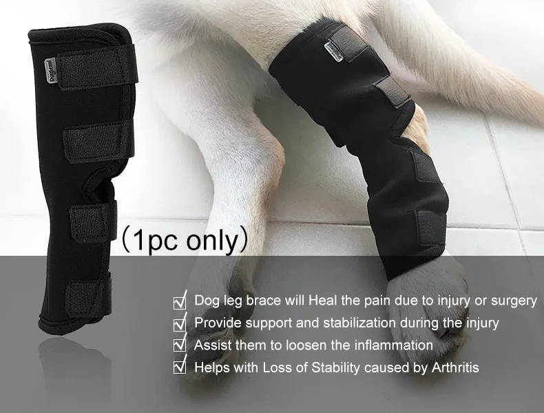 Custom Orthopedic Recovery Protector Sleeve Dog Knee Brace Neoprene