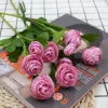 Rosa intenso