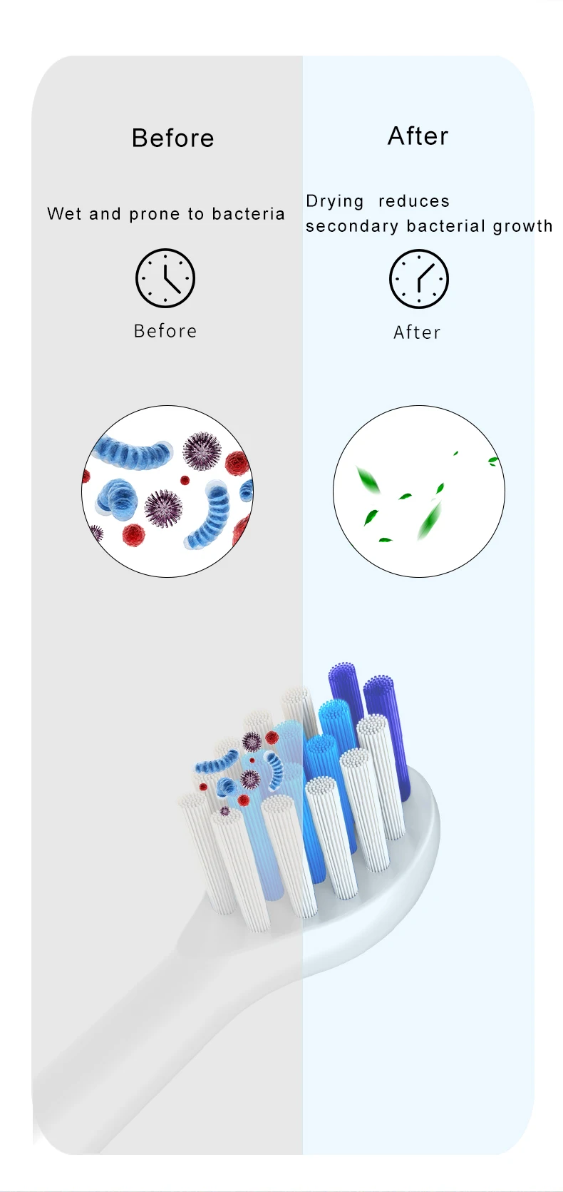 [Kakao Friends] Tooth Brush Sterilizer main image 0