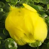 Amarillo