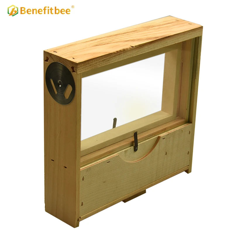 Benefitbee Beekeeping Mini Beehive Transparent Bee Hive Observation Beehive