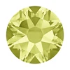 jonquil