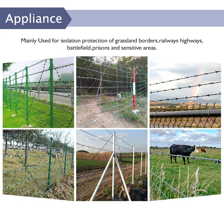 Concertina Barbed Wire Strand Barbed Wire Coil Concertina Buy Barbed