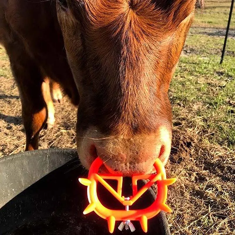 Calf Weaner Rings 10-Pack Calf Nose Rings - Smooth Plastic Weaning