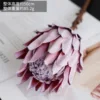 New Emperor Purple
