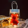 Purple bear+ins self-adhesive bag+warm light