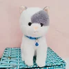 Grey bell cat