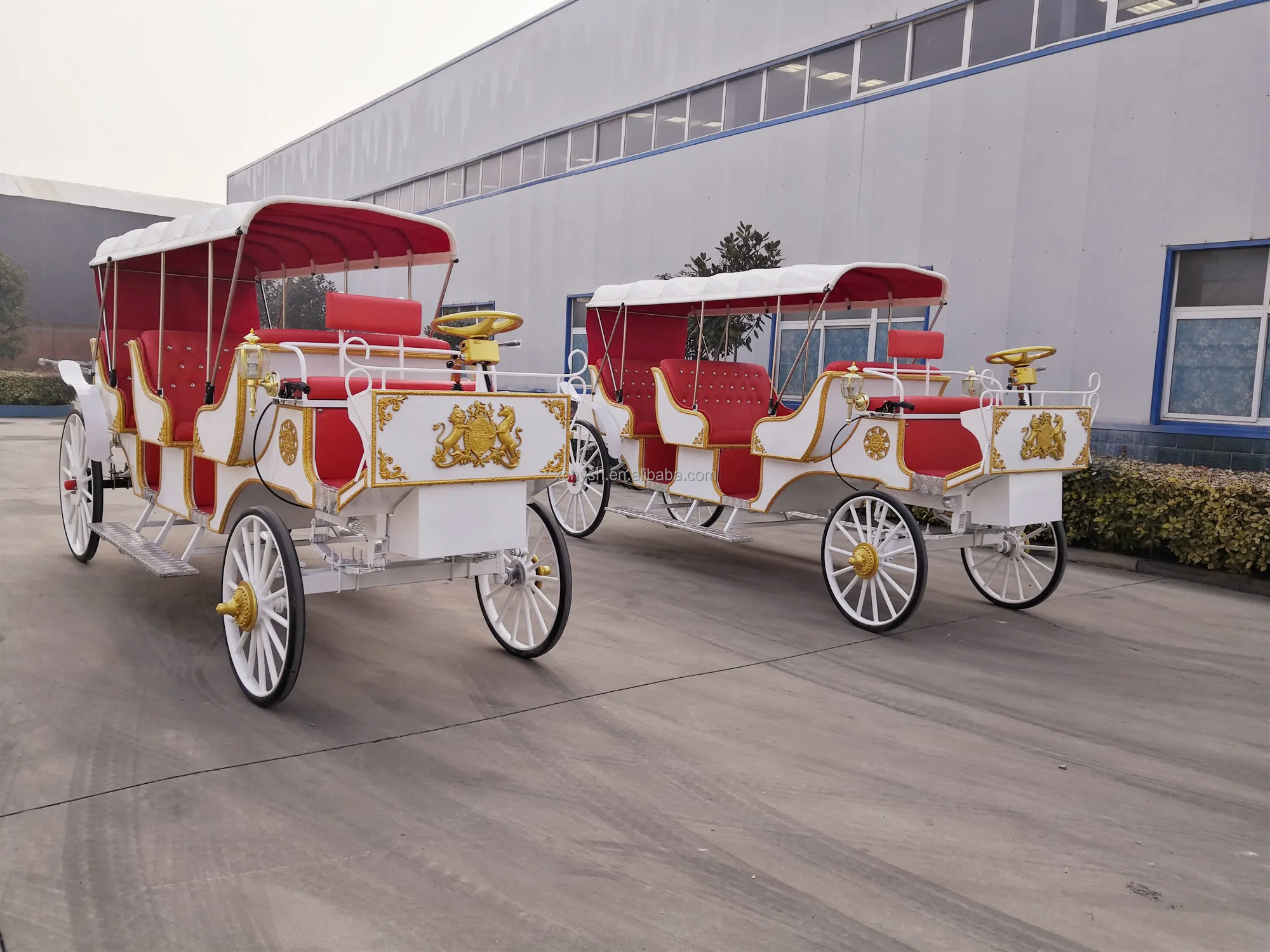 6seater Electric Special Transport Vehicle/noble Electric Tourist