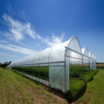 Plastic Film Tunnel Commercial Greenhouse Single-span Vegetable Seeding Greenhouse Frame PE Large Plant Grow System Single Layer