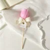 rosa rosa
