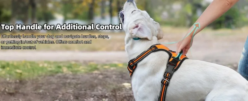 Hot Selling Nylon Outdoor Dog Harness Leash Suitable for Small Medium Large Dogs Pet Products manufacture