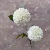 MIX--#1
