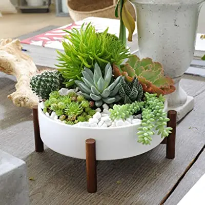 New Arrival Tooth Shaped Rustic Small Ceramic Succulent Planter