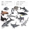 BL-1037 12 Animaux marins 80g