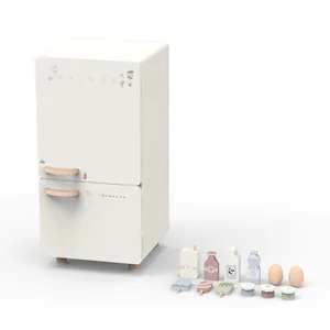 Scandinavian Style Wooden Play House Artificial Refrigerator Doll Kitchen Set for Boys and Girls Birthday Cooking Toys