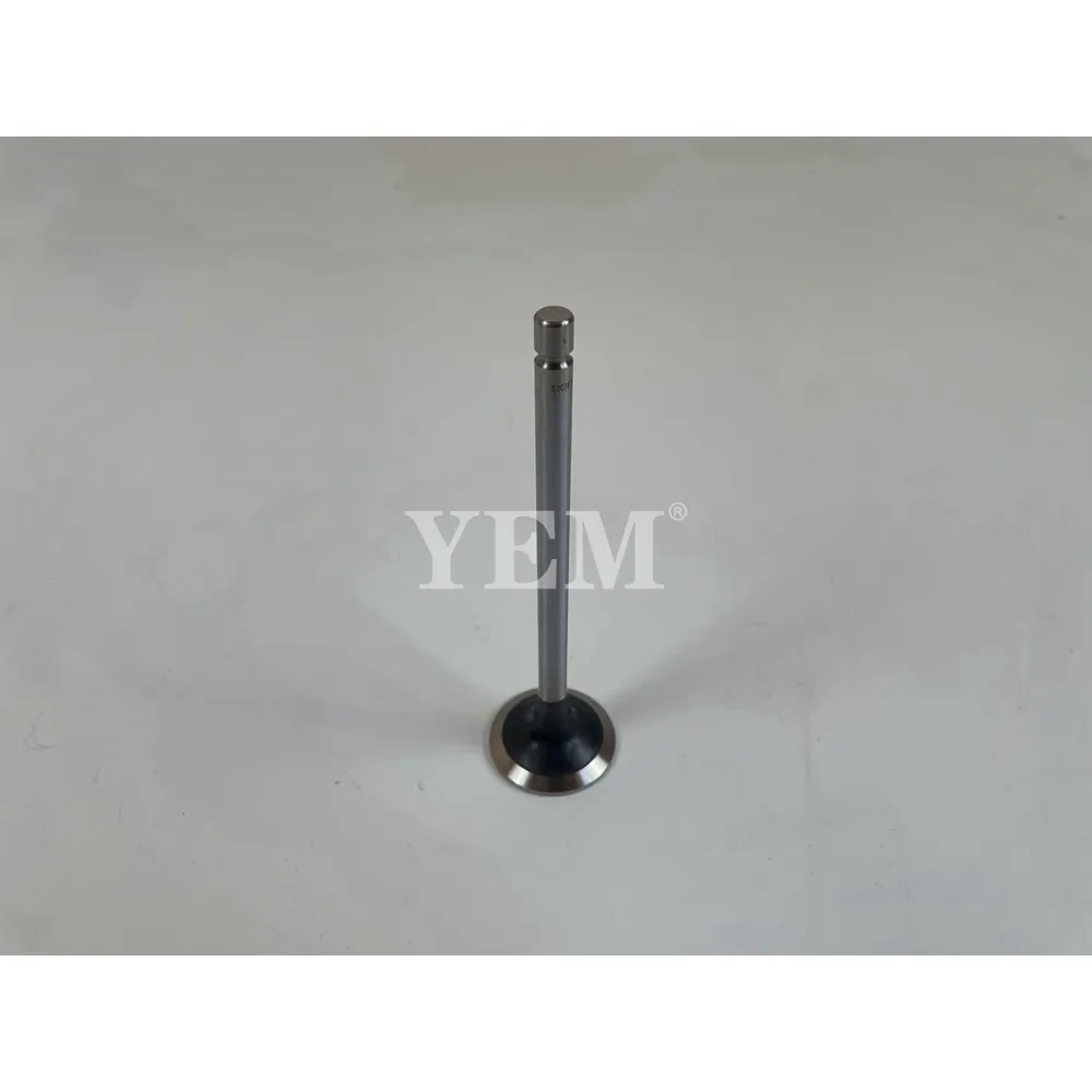 QSL9 Engine Inlet Valve C5307875 for Engine Parts