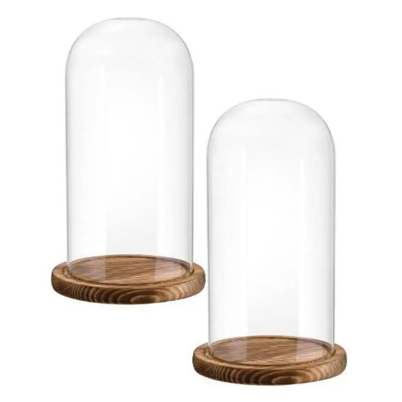 Cupola Di Vetro Con Il Vassoio Di Legno Su Fondo Concreto Illustrazione