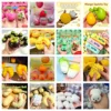 Plus de squishies en forme de blocs de construction