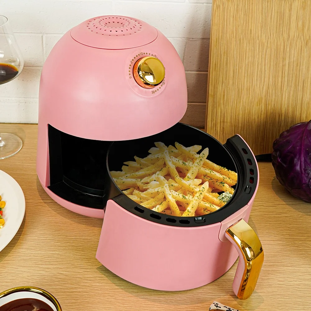 Rose And Teddy Friteuse En Acier Inoxydable 2 En 1 Avec