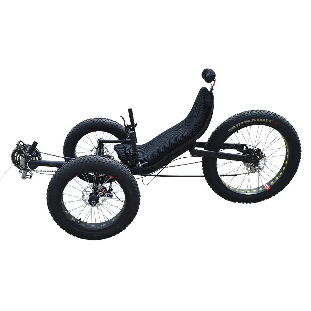 Front Two Wheel Adult Travel Recumbent Fat Tire Electric Bike Folding Frame Rear Hub Motor Race Use Recumbent Trike