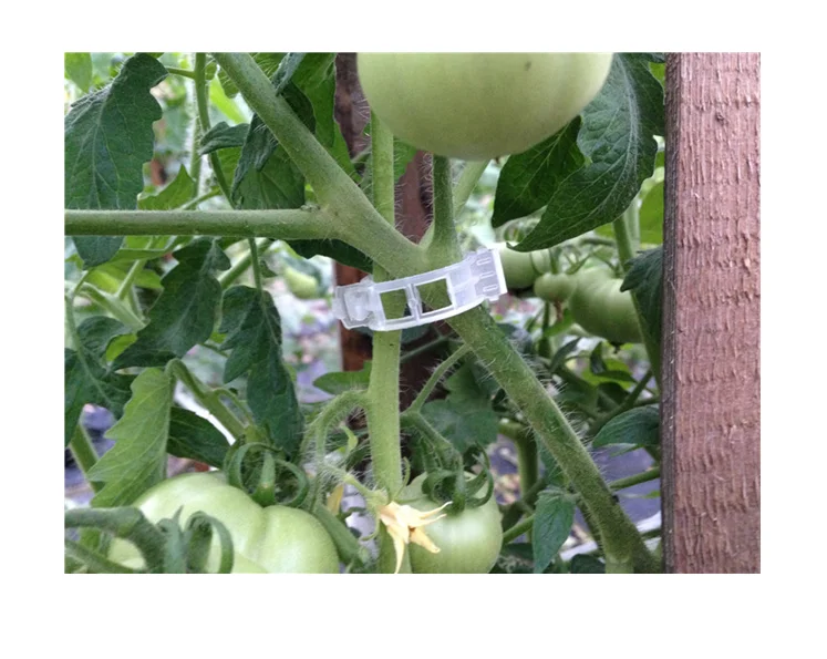 Hot Sale Tomato Roller Hook With Tomato Clip For Agriculture Greenhouse