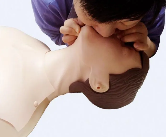 Улучшенная модель человеческого тела для проведения реанимации кардиопулевой тренировок по рисунка медицинская оказания первой