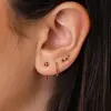 Oro-Rosa Rojo
