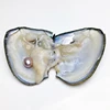 single(One pearl per oyster)