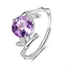 JH0144-1Amethyst