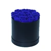 Rosa-12-Round