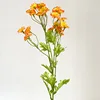 Arancione