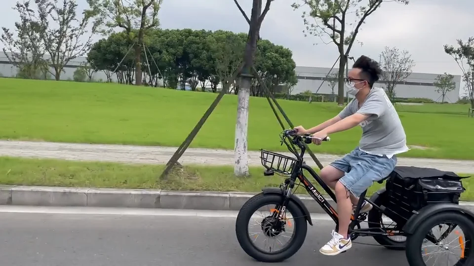 2023 Factory Price Long Range Bafang Electric Tricycles 20" 750w 20