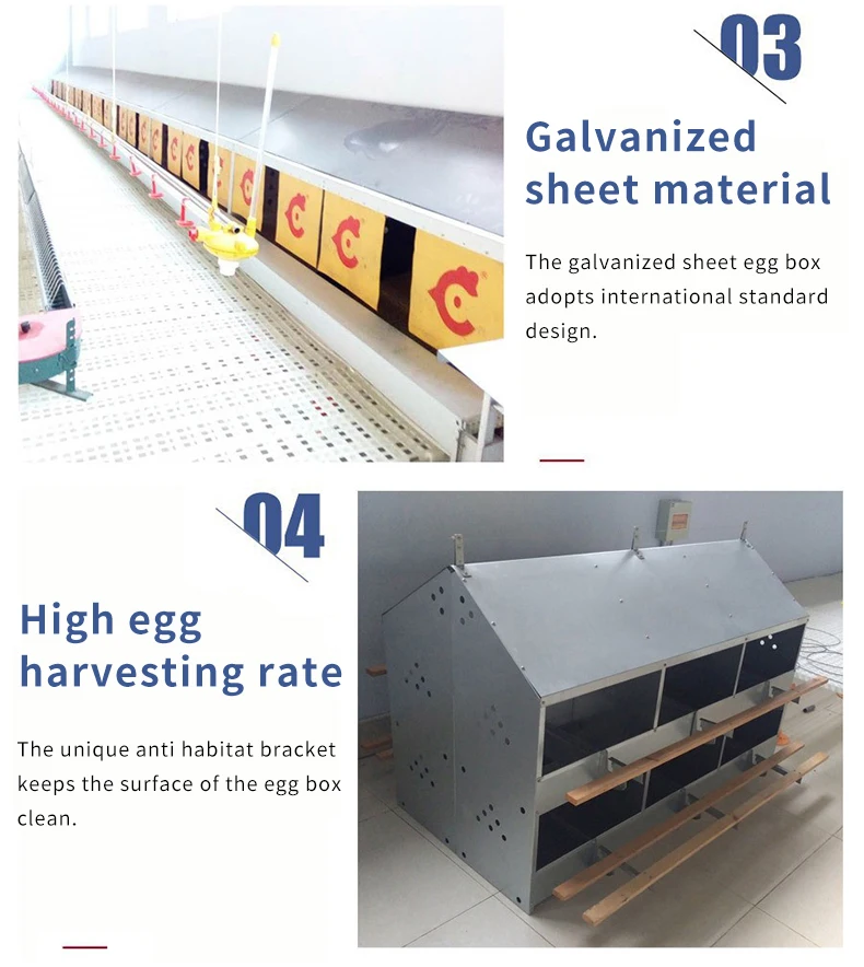 Nest House hen laying 12 holes poultry farm chicken house nest box named hen egg laying nest