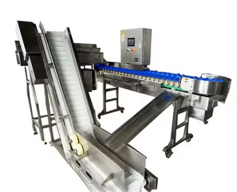 Automatic Electric mango Fruit Picking Machine Fruit Food Sorting Grading Machine Sorter Grader Machine Line