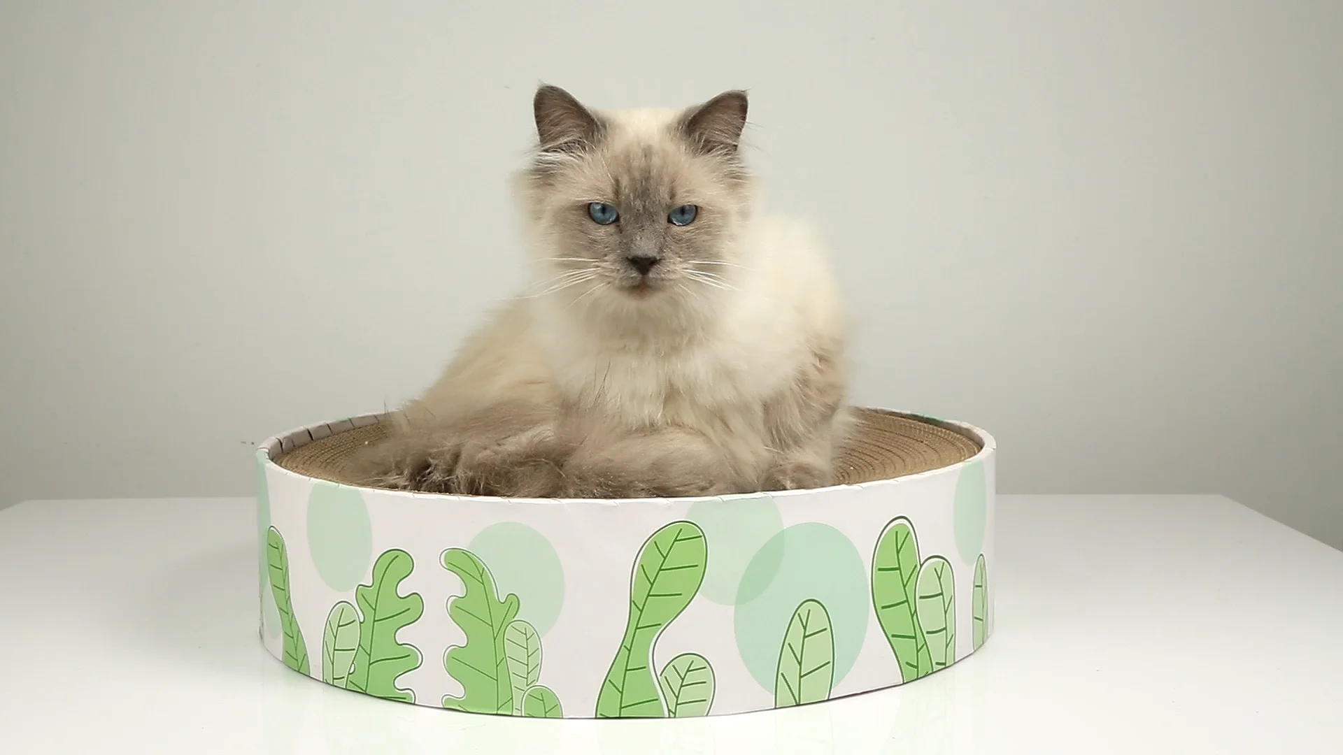 thumbnail image 2 of ComSaf Cardboard Cat Scratcher, Duck-Shaped Cat Scratch Pad, Wave 2 of 14