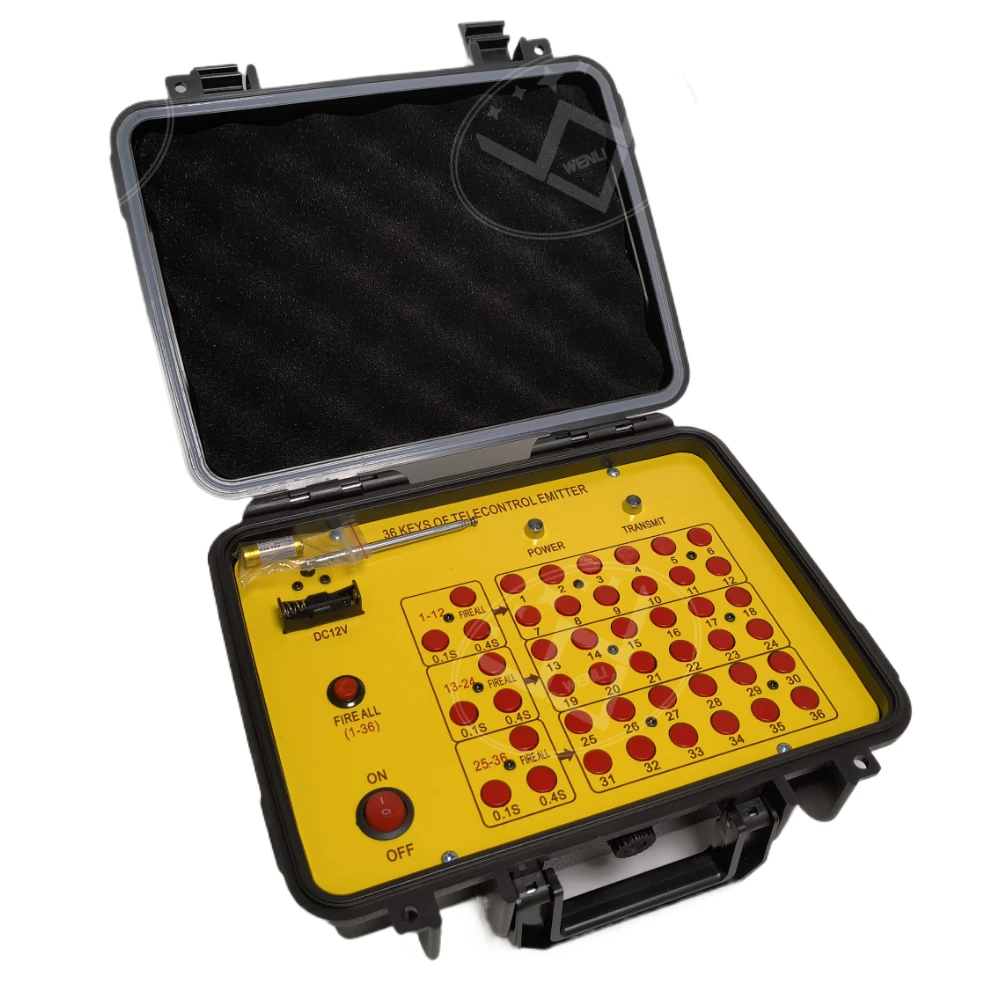 CE Passed Remote Control 36 Cue Professional Fireworks Firing System Salvo Sequential Fire Rechargeable Firing System