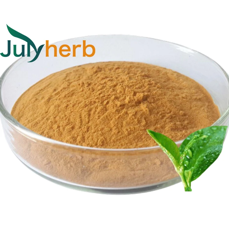 Tea Polyphenols 95% 98% powder