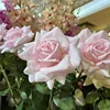 rosa chiaro-2